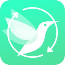 蜂鳥數(shù)據(jù)恢復(fù)