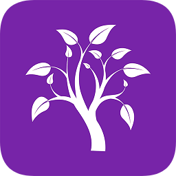 小樹(shù)優(yōu)選