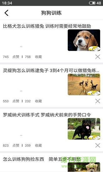 et寵物 v1.0.2 安卓版 2
