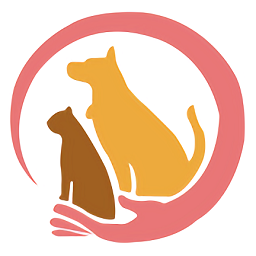 百速達寵物托運官方版