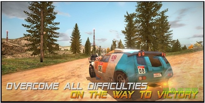 拉力賽車手(Dirt Rally Driver HD) v1.0.1 安卓版 0