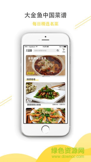 大金魚 大金魚安卓版下載