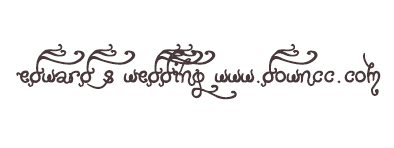 edward s wedding字體