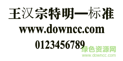 王漢宗特明體—標準