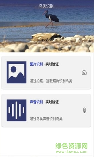 圖音識(shí)鳥 v1.1 安卓版 0