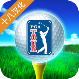 高爾夫球大賽巡回賽