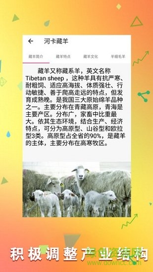 羊場(chǎng)專(zhuān)家 v1.10 安卓版 1