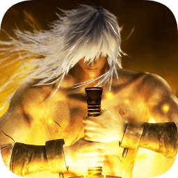 神王问天传游戏