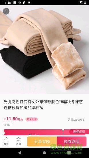 金金猪最新版下载