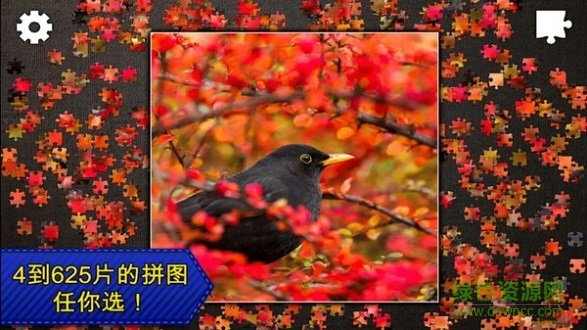 拼圖秘密花園 v1.1 安卓版 3