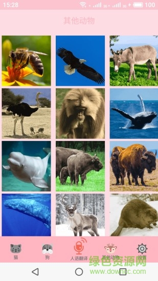 喵喵轉(zhuǎn)換 喵喵轉(zhuǎn)換app