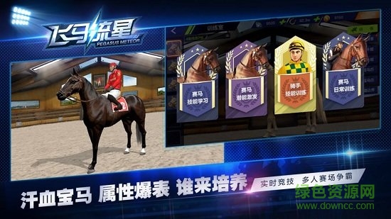 飛馬流星游戲 v1.0 安卓版 1