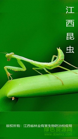 江西昆蟲識(shí)別軟件 v1.1.8 安卓版 0
