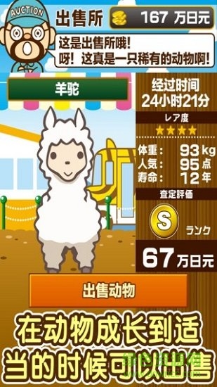 動物園飼養(yǎng)游戲 v1.4 安卓版 1