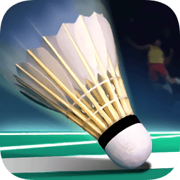 真實(shí)羽毛球中文