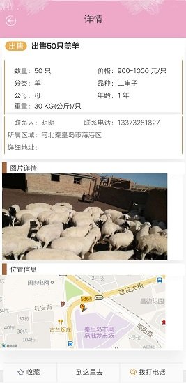 青青草原 青青草原安卓版