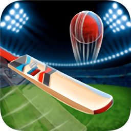 瘋狂板球比賽中文版