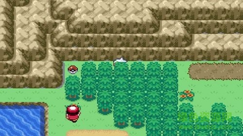 口袋妖怪漆黑來臨金手指