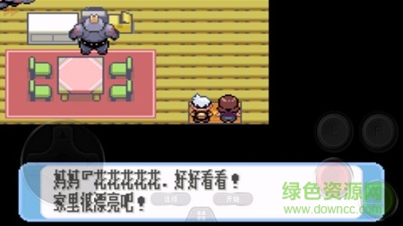 手機(jī)口袋妖怪紅寶石金手指 v1.6.2 安卓無限大師球版 3