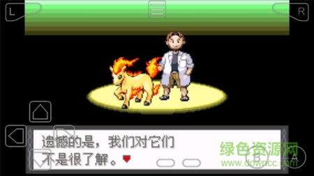 口袋妖怪夜之祭靈歌