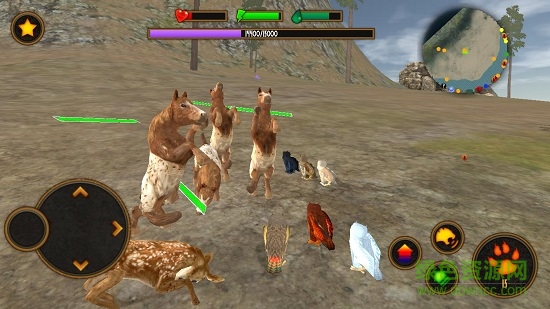 貓頭鷹家族模擬器中文正式版 v1.0 安卓無限經(jīng)驗(yàn)版 3