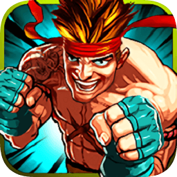 街頭格斗旋風(fēng)快打