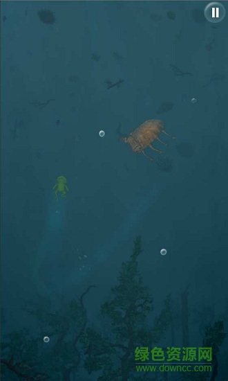 青蛙深呼吸 青蛙深呼吸手游下载