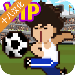 足球明星經(jīng)理vip無(wú)限金幣