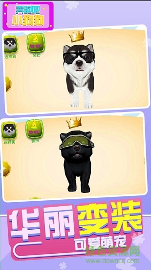 奔跑吧小狗狗 v1.0.0 安卓版 0