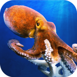 八爪魚模擬器官方版