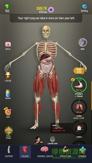 人体模型 人体模型手游下载