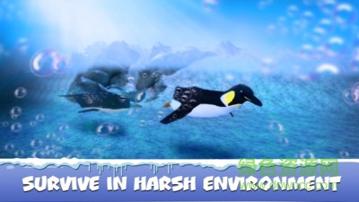 企鵝模擬器游戲 v1.0 安卓版 0