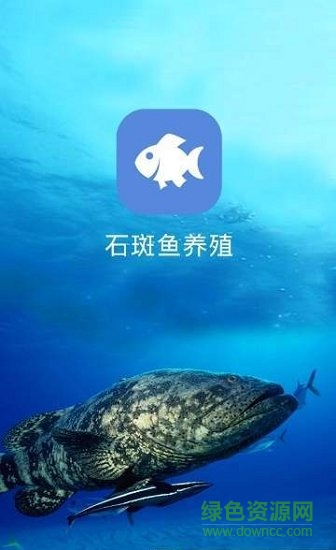 石斑魚養(yǎng)殖 v1.0.0 安卓版 0