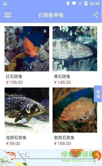 石斑魚養(yǎng)殖 v1.0.0 安卓版 2