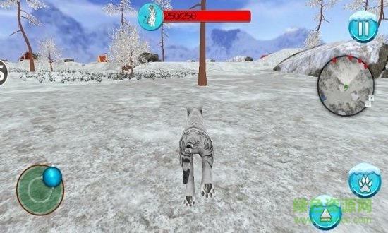 荒野老虎生存手游 v1.0 安卓版 1