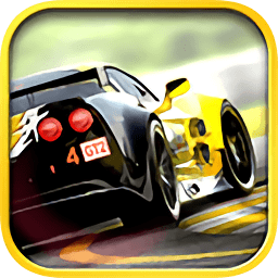 真實(shí)賽車(chē)2內(nèi)購(gòu)版