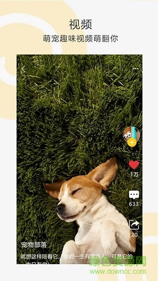 我愛它它 v2.0.3 安卓版 2