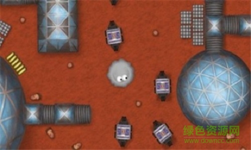 愛吃花蜜的小蟲子下載