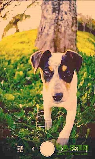 專業(yè)魚(yú)眼相機(jī) v1.0.0.5 安卓版 0