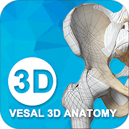 維薩里骨科專家