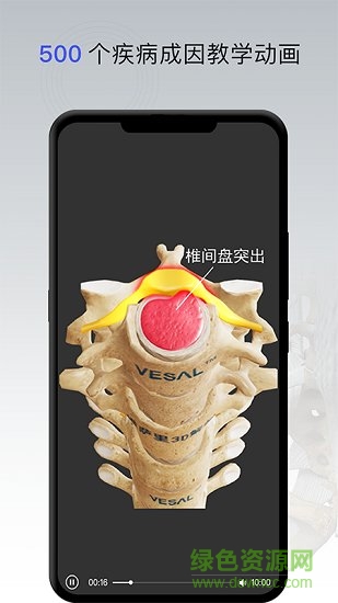 骨科專家app