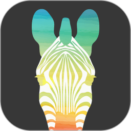 趣行斑馬計(jì)步