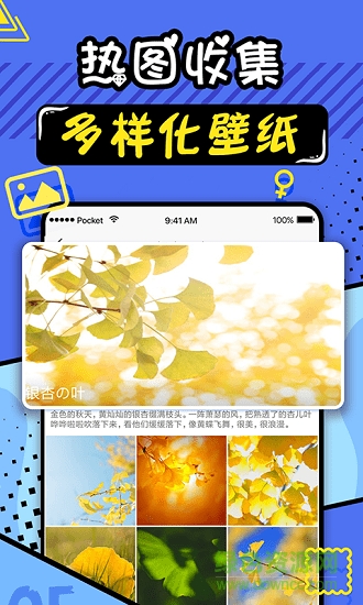 趣彩壁紙最新版本 v2.7 安卓手機版 0