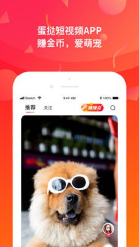 蛋撻短視頻下載