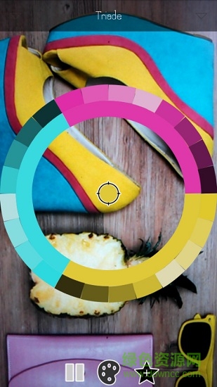 實(shí)時(shí)調(diào)色板live palettes v1.49 安卓版 0