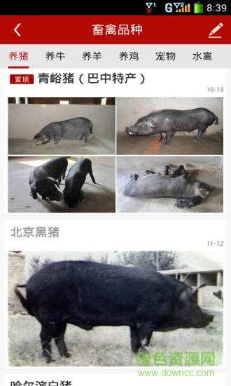 畜牧獸醫(yī)app