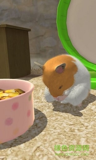 小小仓鼠中文版(我的仓鼠) v1.0.3 安卓版0