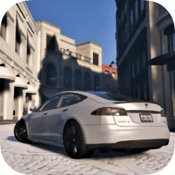 特斯拉駕駛模器(Drive Model S)