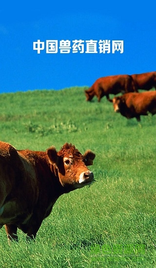 獸藥直銷網(wǎng) v1.0 安卓版 0
