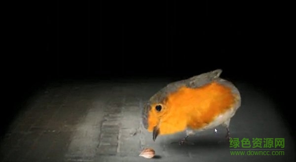 種子搞怪器 種子搞怪器游戲下載